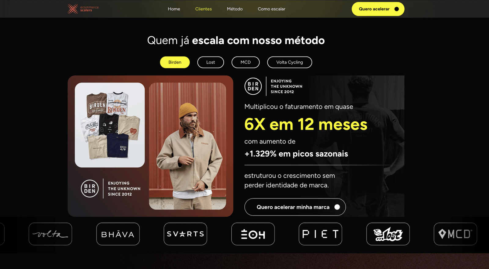 E-Commerce Scalers website preview