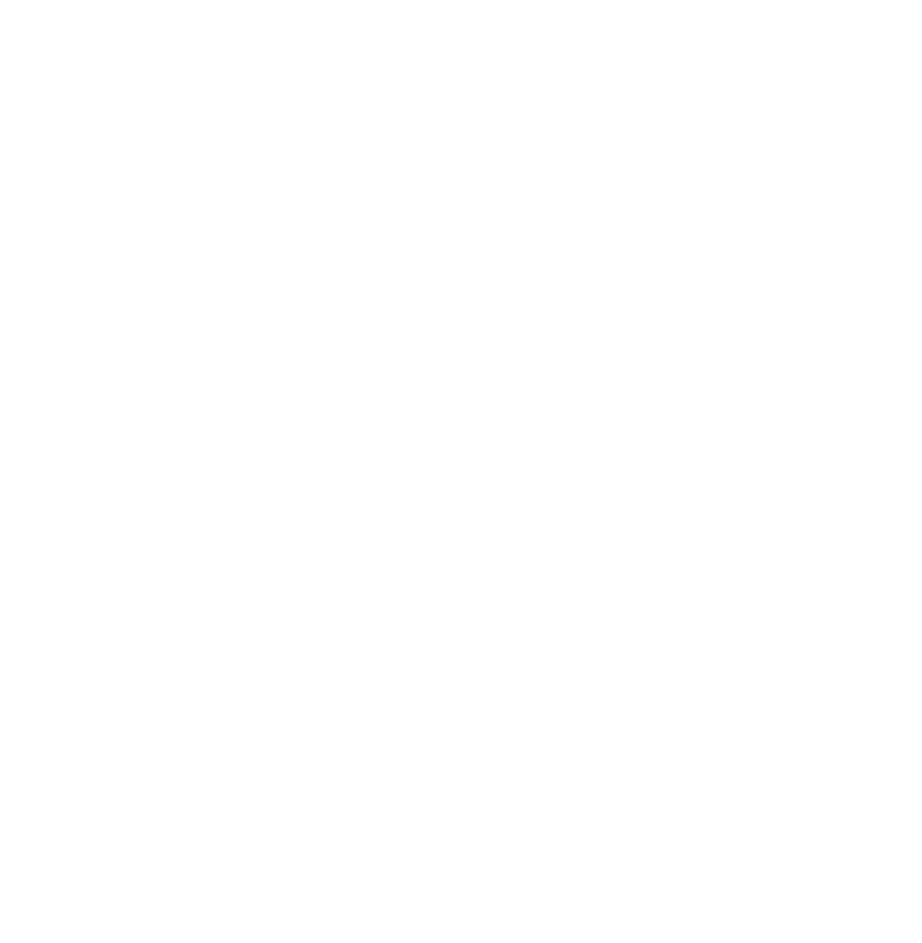 WordPress logo